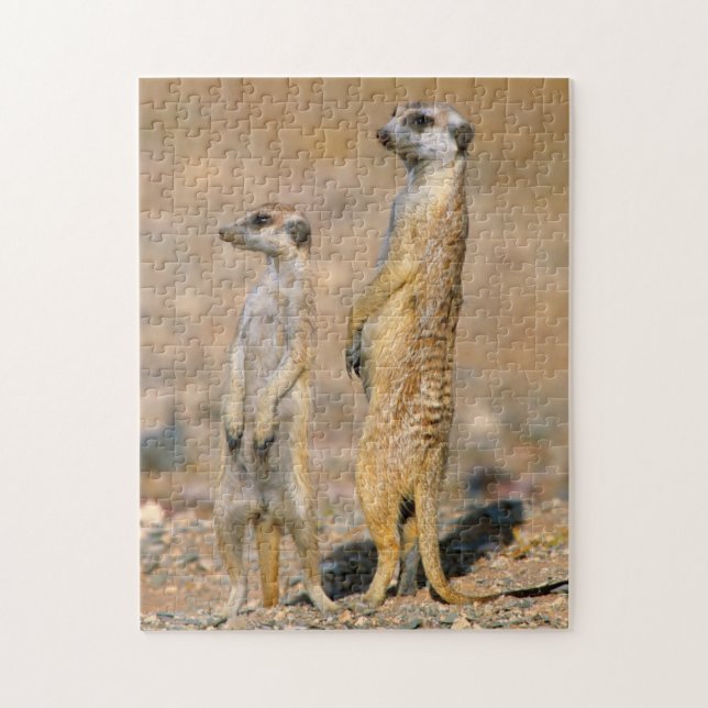 Puzzle Sentinelles Meerkat (Suricata Suricatta), Karas (Vertical)