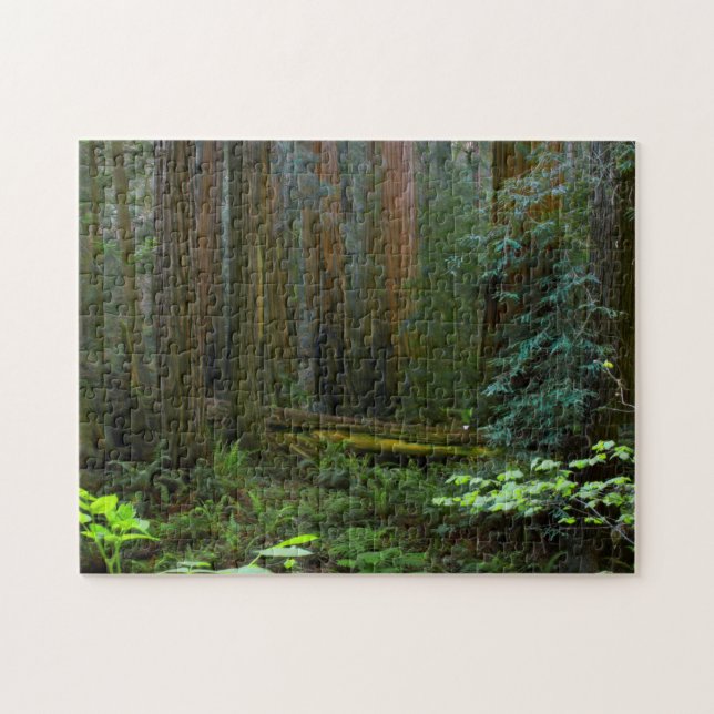 Puzzle Séquoias de Muir Woods National Monument (Horizontal)