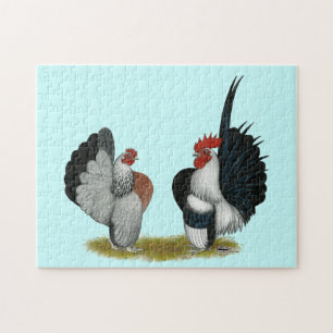 Puzzle Serama Bantams