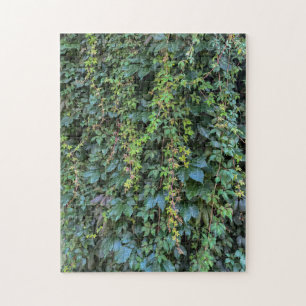 Puzzle Serene Green Ivy Wall Suspendre Vins Plantes Feuil