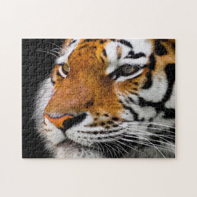 Puzzle Sérieux visage de tigre (Horizontal)