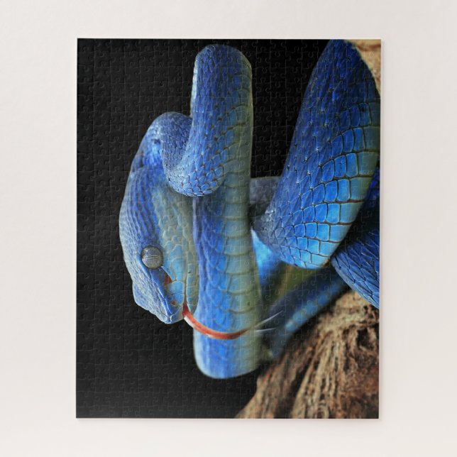 Puzzle Serpent bleu (Vertical)