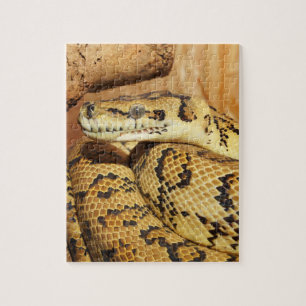 Puzzle serpent python