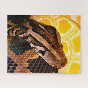 Puzzle Serpent python birman