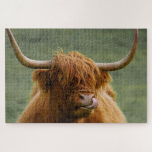 Puzzle Shaggy Haired Scotland Highland