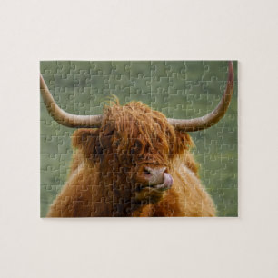 Puzzle Shaggy Haired Scottish Highland Cow Nature Animal