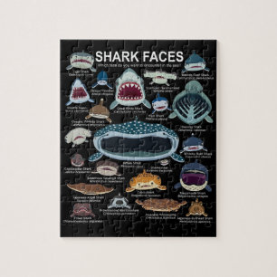 Puzzle Shark faces Which Face Do You Want To Encounter