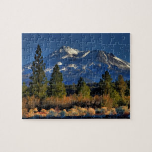 PUZZLE SHASTA 1 DE BÂTI