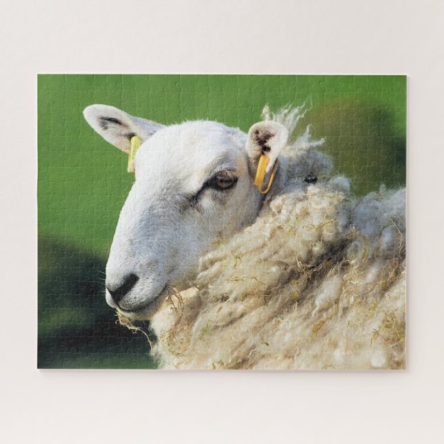 PUZZLE SHEEP (Horizontal)
