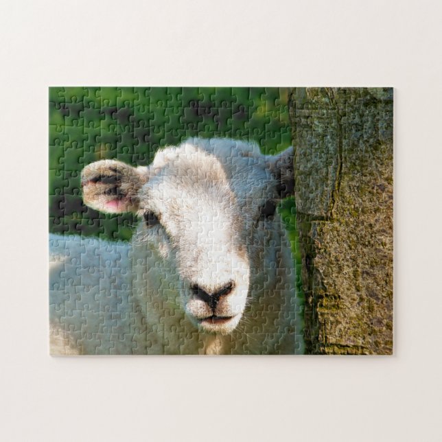 PUZZLE SHEEP (Horizontal)