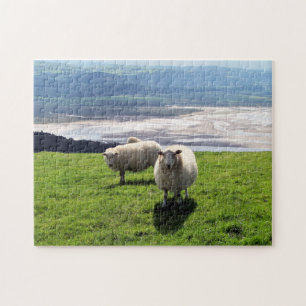 PUZZLE SHEEP DE MONTAGNE BIEN-ÊTRE