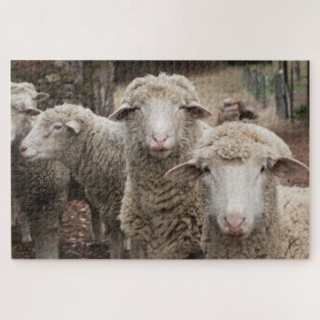 Puzzle Sheep Friends (Horizontal)