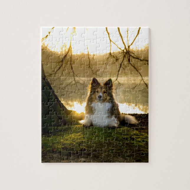Puzzle sheltie (Vertical)