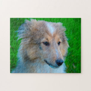 Puzzle Shetland Sheep Chien Jigsaw.