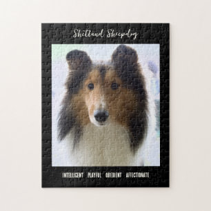 Puzzle Shetland Sheepdog Photo Chien de race