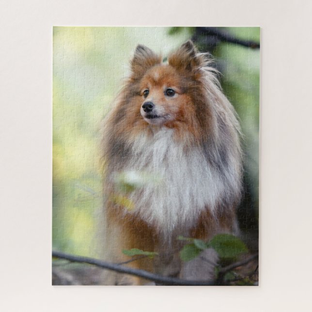 Puzzle Shetland Sheepdog Shelter petit chien en forêt (Vertical)