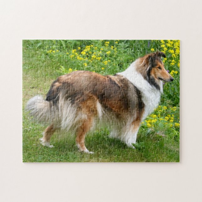 Puzzle Shetland Sheepdog - Sheltie Dog (Horizontal)