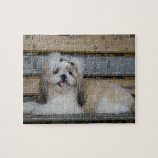 Puzzle Shih Tzu (Horizontal)
