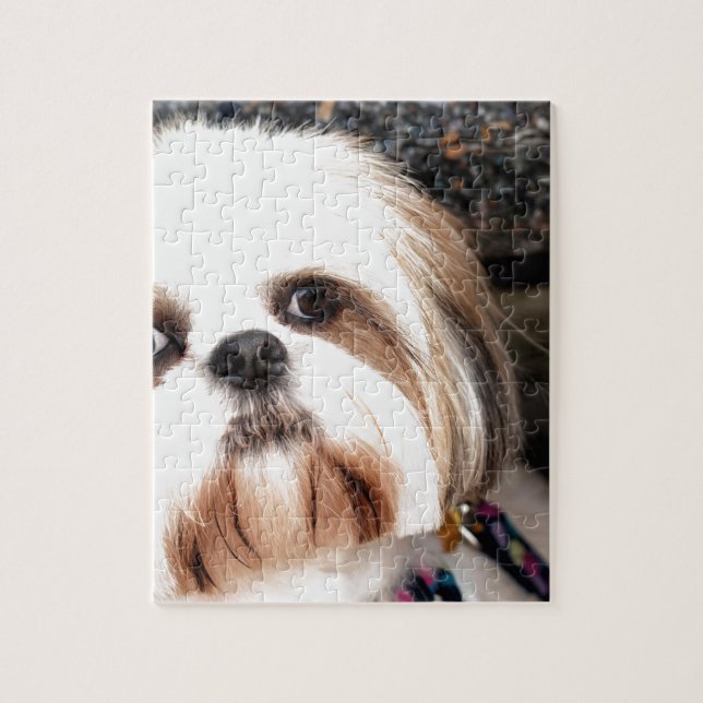 Puzzle Shih Tzu (Vertical)