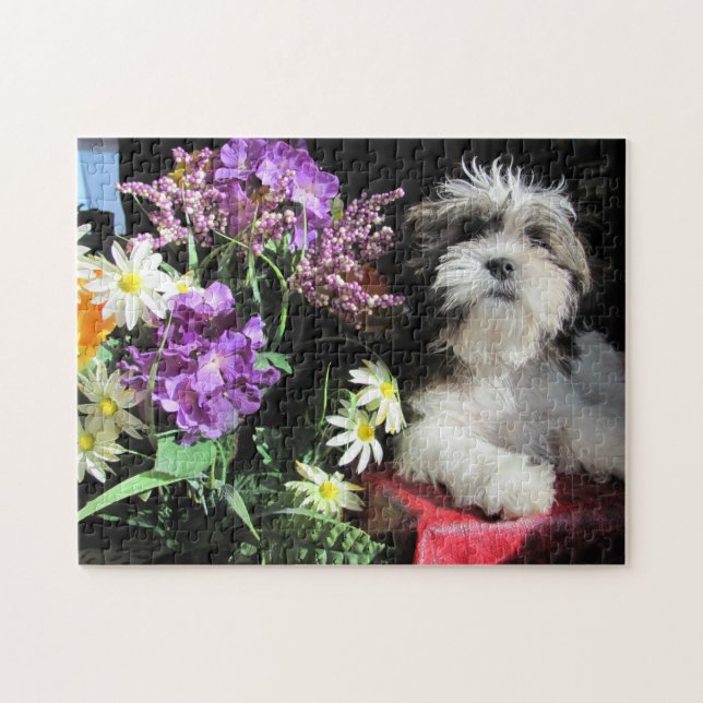 Puzzle SHIH TZU ! … gazuntite. (Horizontal)