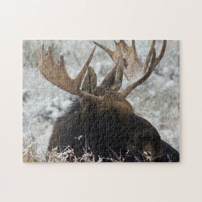 Puzzle Shiras Bull Moose (Horizontal)