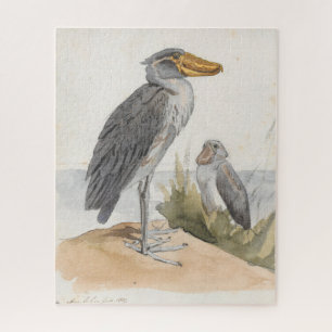 Puzzle Shoebill Stork 1887 Print Zoological African