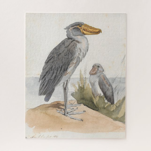 Puzzle Shoebill Stork 1887 Print Zoological African (Vertical)
