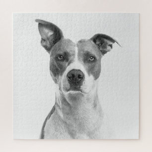 Puzzle Short Hair Dog In Greyscale (Black & White)