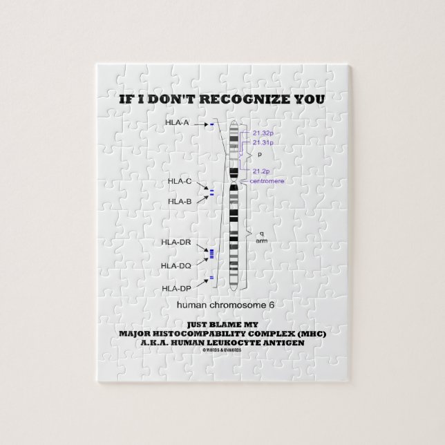 Puzzle Si je ne reconnais pas vous blâmez juste ma (Vertical)