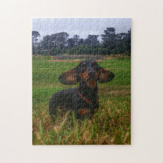 Puzzle Si vous le construisez ils viendront