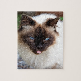 Puzzle Siamese cat