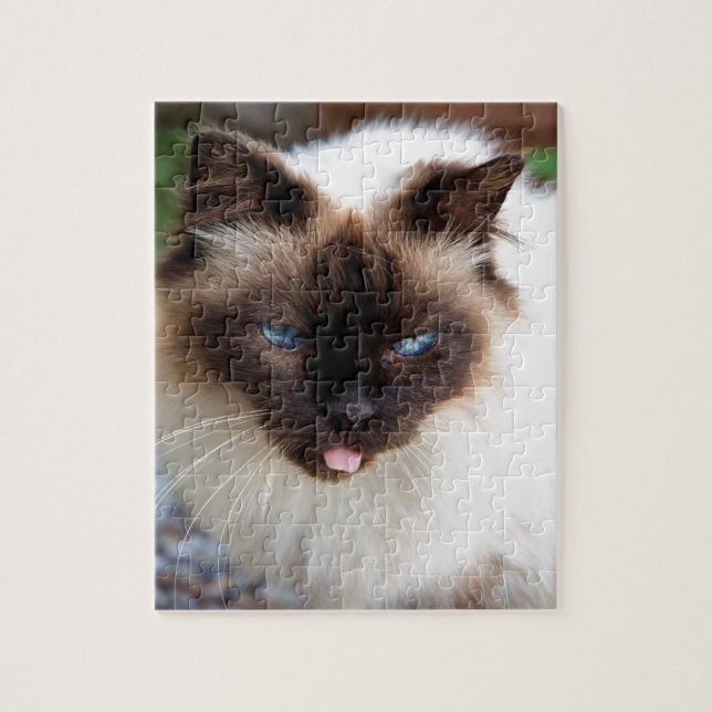 Puzzle Siamese cat (Vertical)