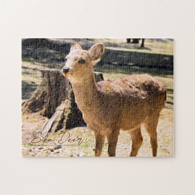 Puzzle Sika Deer dans le parc Nara (Horizontal)