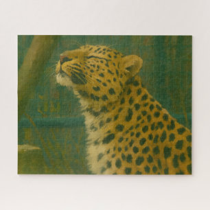 Puzzle Silence éclairé - Leopard au repos dans la lumière