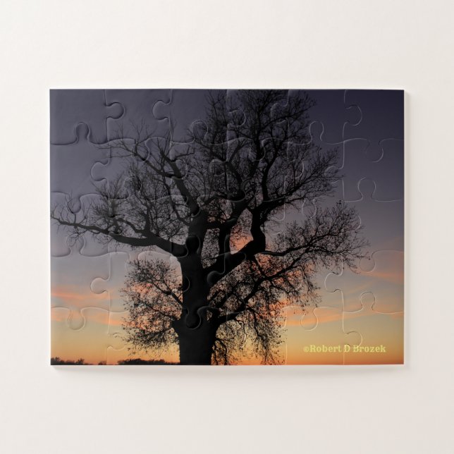 Puzzle Silhouette de l'arbre du Kansas (Horizontal)
