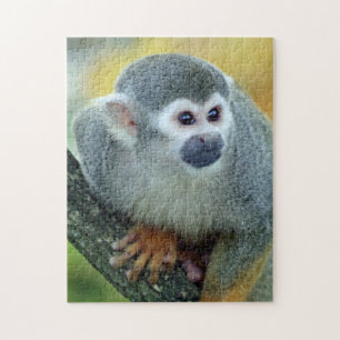 Puzzle Singe 004