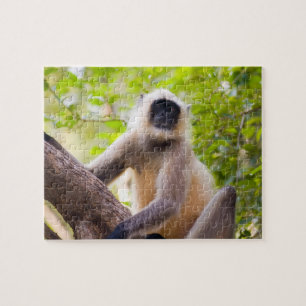 Puzzle Singe dans la jungle du parc national de Ranthambo