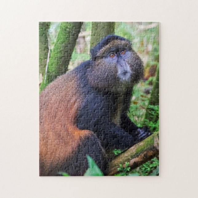Puzzle Singe doré, Rwanda (Vertical)