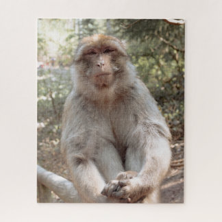 Puzzle Singe mignon