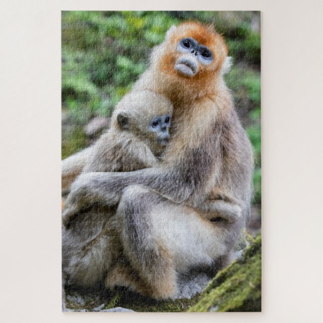 Puzzle Singe nez retroussé doré avec bébé (Vertical)