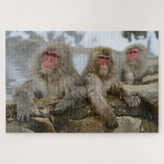Puzzle Singes des neiges dans une piscine de printemps ch