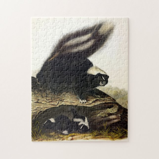 Puzzle Skunk américaine commune ou Striped Skunk, par Aud (Vertical)