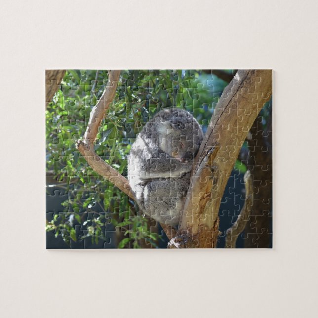 Puzzle Sleep Koala (Horizontal)