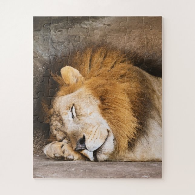 Puzzle Sleepy Dream Lion adulte sur les rochers (Vertical)