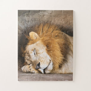 Puzzle Sleepy Dream Lion adulte sur les rochers