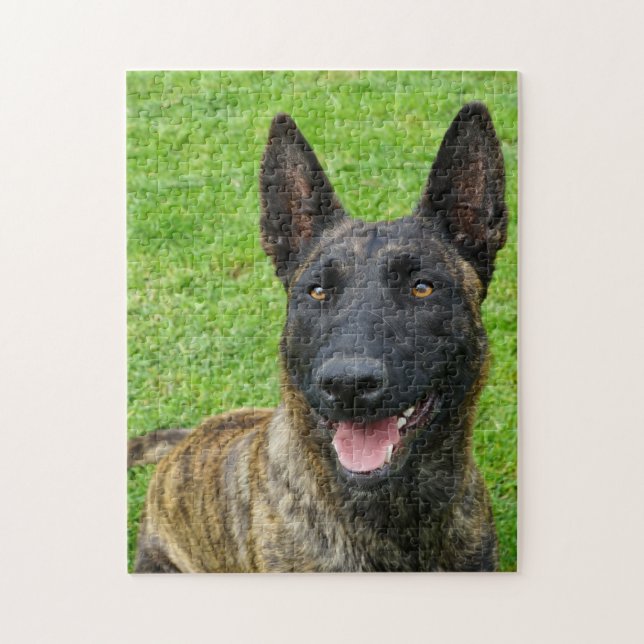 Puzzle Smiling Dutch Shepherd Portrait (Vertical)