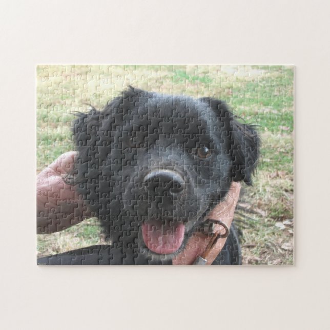 Puzzle Smokey Poses For Camera (Horizontal)