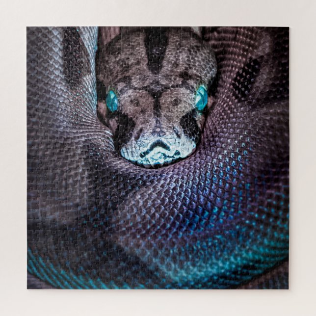 Puzzle Snake boa anaconda python reptile serpent (Vertical)