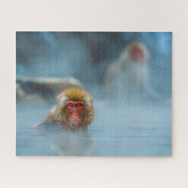 Puzzle Snow Monkeys. (Horizontal)