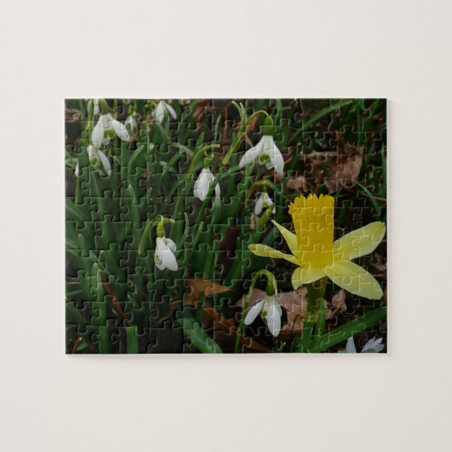 Puzzle Snowdrops et Daffodil Spring Floral (Horizontal)